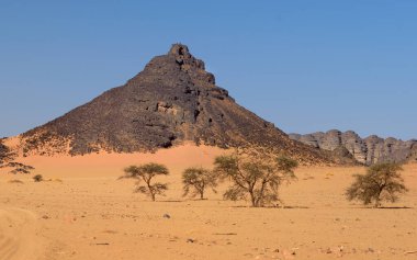 SAND DUNES AND DESERT LANDSCAPE IN THE SAHARA DESERT IN ALGERIA