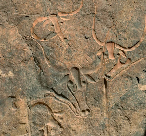 Prehistoric Art Rock Engravings Paintings Sahara Desert Aroung Djanet Oasis — Zdjęcie stockowe