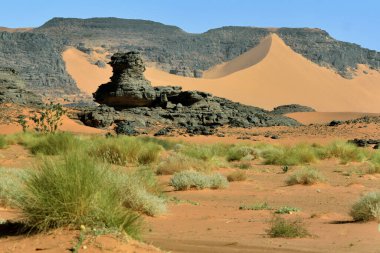 SAHARA DERİYA 'NIN DJANET VAHESİNDE Kum tepeleri, KUMLARI TAMAMLANDI