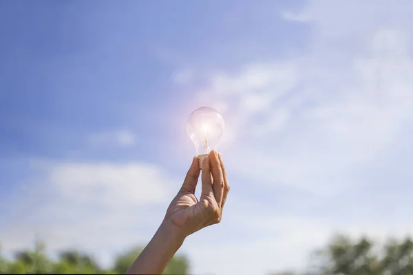 stock image Hand holding light bulb,natural energy and love the world concept.