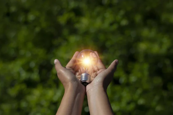 Hand holding light bulb,natural energy and love the world concept.