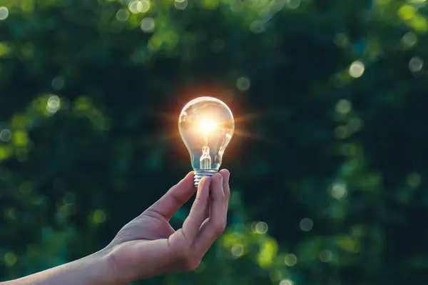 El ele tutuşmak ampul, doğal enerji ve dünya konseptini sevmek.