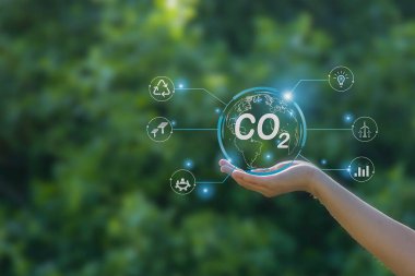 Karbon nötr konsept CO2 salınımını azaltır