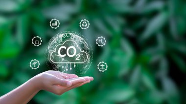Karbon nötr konsept CO2 salınımını azaltır, küresel ısınmayı azaltır. Net sıfır karbon emisyonunun hedefi 2050