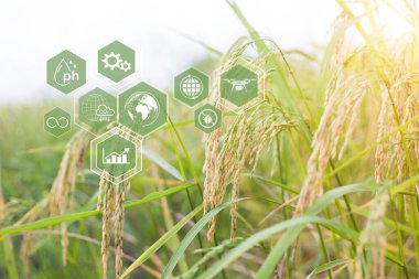 Dünyayı seven sürdürülebilir tarım teknolojisi