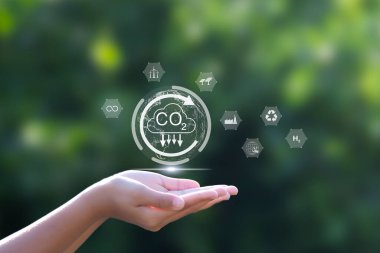Karbon nötr konsept CO2 salınımını azaltır, küresel ısınmayı azaltır. Net sıfır karbon emisyonunun hedefi 2050