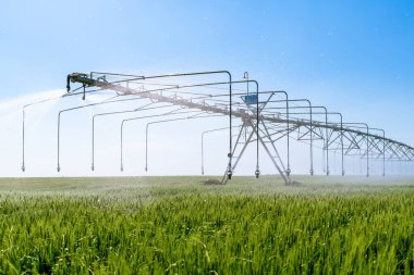 Tarla yönetimi için merkez pivot sulama ya da sulama sistemi. Sahadaki su sistemi. Sulama alanı suluyor.