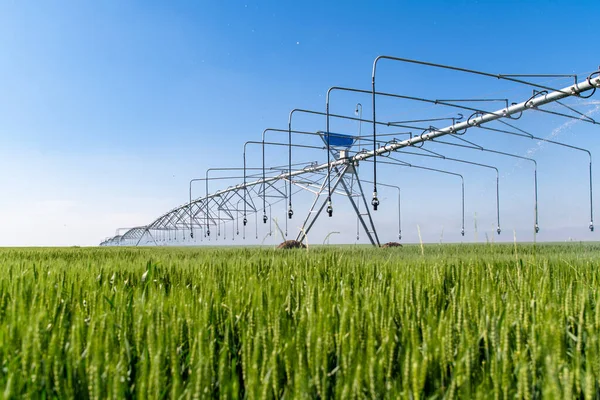 Center pivot crop irrigation or irrigation system for farm management. Watering system in the field. An irrigation pivot watering a field