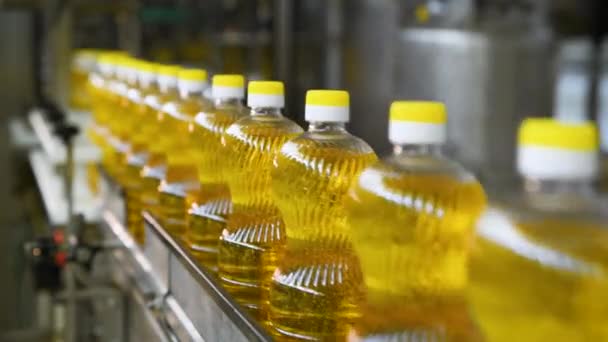 Sonnenblumenöl Der Flasche Bewegt Sich Auf Dem Produktionsband Produktionsstätte Für — Stockvideo