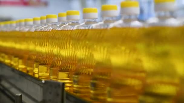 Sunflower Oil Bottle Moving Production Line Sunflower Oil Production Factory — Stock Video