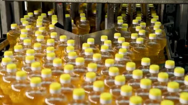 Sonnenblumenöl Der Flasche Bewegt Sich Auf Dem Produktionsband Produktionsstätte Für — Stockvideo