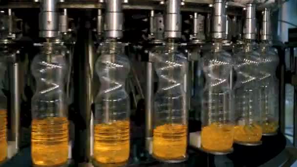 Olio Girasole Bottiglia Movimento Sulla Linea Produzione Fabbrica Olio Girasole — Video Stock