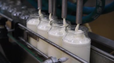 Cam kavanozdaki mayonez üretim hattında ilerliyor. Mayonez üretim fabrikası.