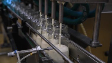 Cam kavanozdaki mayonez üretim hattında ilerliyor. Mayonez üretim fabrikası.