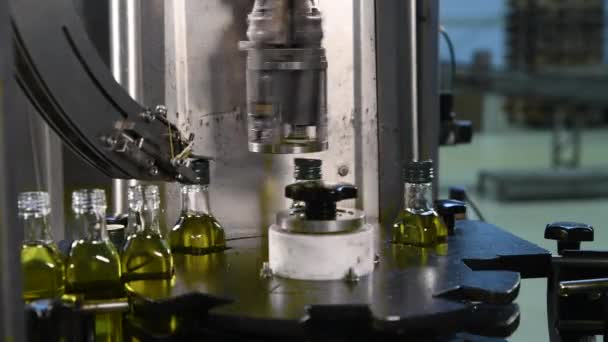Olivolja Glasflaskor Som Rör Sig Produktionslinjen Produktionsfabrik För Olivolja — Stockvideo