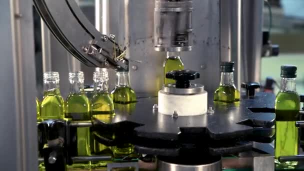 Oliwa Oliwek Szklanych Butelkach Poruszających Się Linii Produkcyjnej Zakład Produkcji — Wideo stockowe