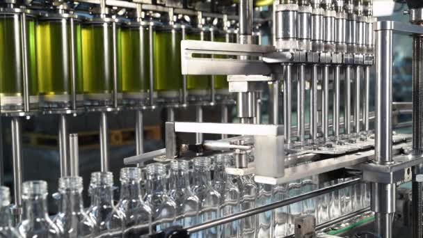 Оливкова Олія Скляних Пляшках Рухається Виробничій Лінії Завод Виробництва Оливкової — стокове відео