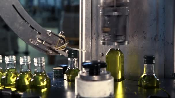 玻璃瓶中的橄榄油在生产线上流动 橄榄油生产厂 — 图库视频影像