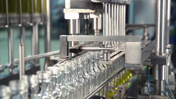Oliwa Oliwek Szklanych Butelkach Poruszających Się Linii Produkcyjnej Zakład Produkcji — Wideo stockowe