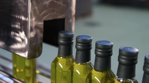Minyak Zaitun Dalam Botol Kaca Bergerak Pada Lini Produksi Pabrik — Stok Video