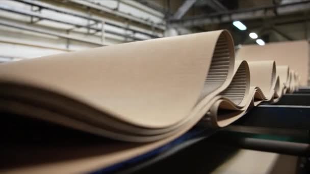 Empresa Para Producción Envases Cartón Fabricación Cajas Cartón Envases Corrugados — Vídeos de Stock