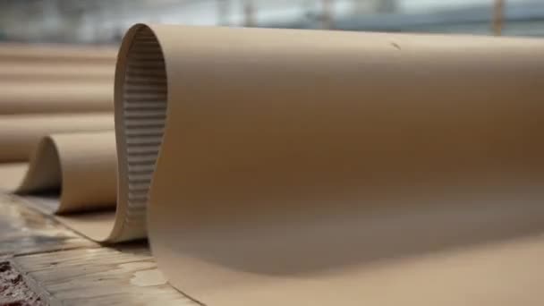 Empresa Para Producción Envases Cartón Fabricación Cajas Cartón Envases Corrugados — Vídeo de stock