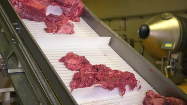 Nowoczesny Warsztat Przetwórstwa Produkcji Wyrobów Mięsnych Fabryka Mięsa Produkcja Mięsa — Wideo stockowe