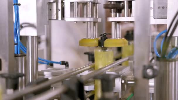 Pengisian Produk Kimia Otomatis Botol Pet Plastik Diisi Dengan Deterjen — Stok Video