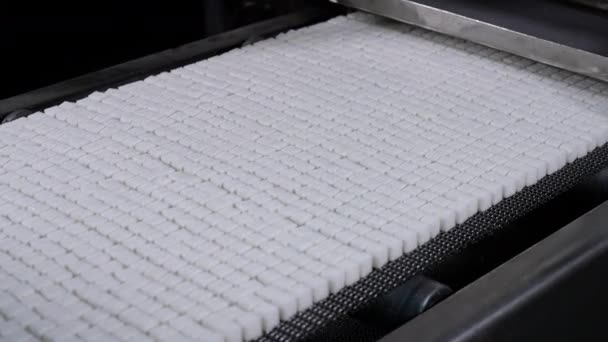 精製された砂糖生産 産業精製された砂糖包装コンベヤー ライン アセンブリラインの精製砂糖 — ストック動画