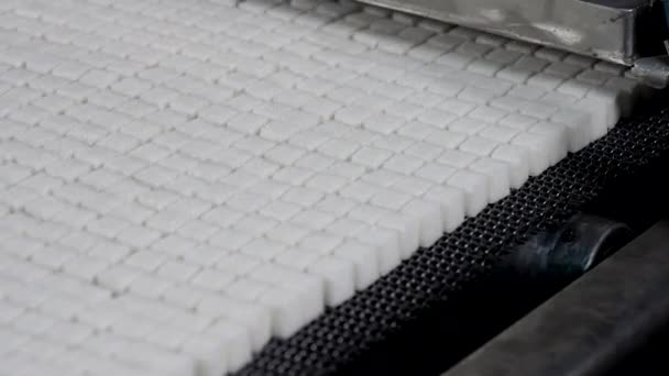 精炼制糖 工业精炼糖类包装输送线 装配线上的精炼糖 免版税图库视频片段
