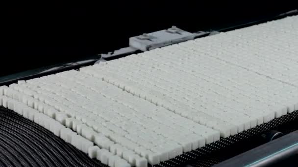 Raffinerad Sockerproduktion Industriellt Raffinerat Socker Förpackningar Transportband Linje Raffinerat Socker — Stockvideo