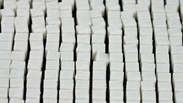 Παραγωγή Ραφιναρισμένης Ζάχαρης Βιομηχανική Ραφιναρισμένη Γραμμή Μεταφοράς Συσκευασίας Ζάχαρης Εξευγενισμένη — Αρχείο Βίντεο