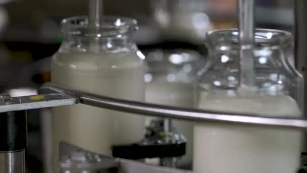 Mayonnaise Glass Jar Moving Production Line Mayonnaise Production Factory — Stock Video