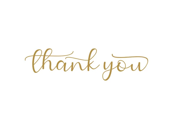Thank You Card Gold Text Hand Drawn Calligraphy Lettering Isolated — Stock Vector