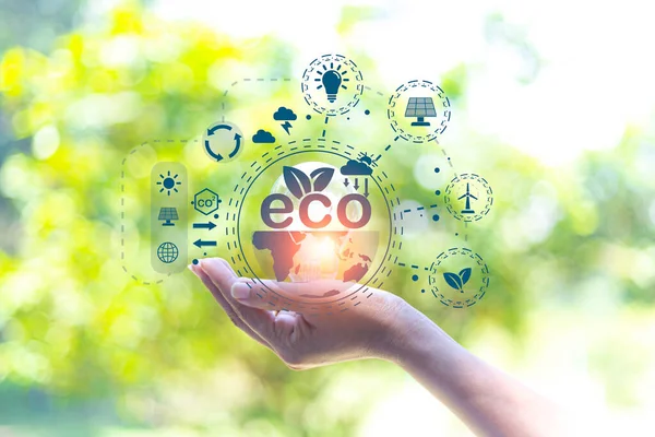 Énergie Écologique Innovation Technologie Eco Green Concept Icône Ampoule Sources — Photo