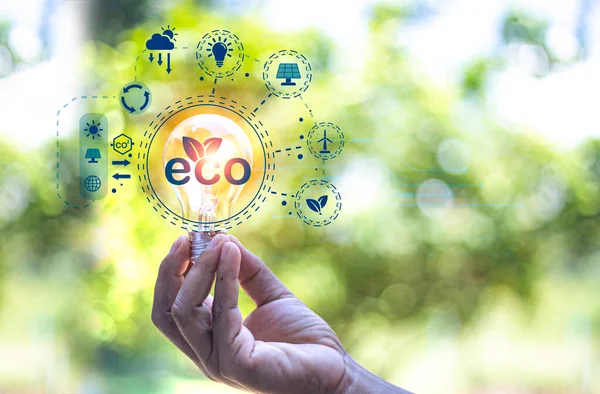 Eco Friendly Energy Innovation Technology Eco Green Concept Icon Bulb — Stock Photo, Image
