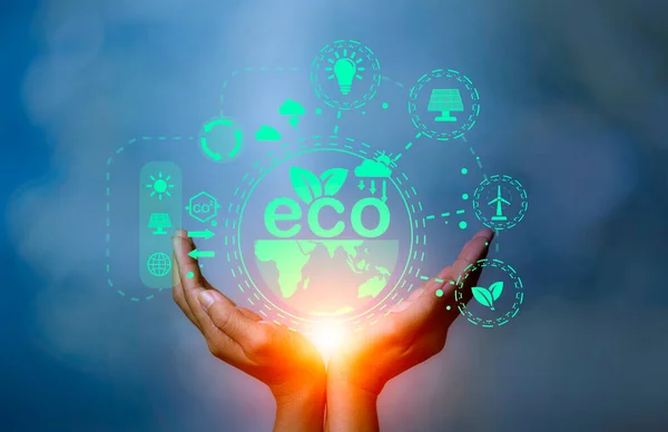 Környezetbarát Energia Innovációs Technológia Öko Zöld Koncepció Ikon Izzó Energiaforrások — Stock Fotó