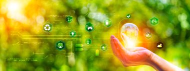 Çevre dostu enerji. Yenilik teknolojisi eko yeşil konsept. Yeşil bulanık arka planda yenilenebilir enerji kaynakları için ikon ampul. Yenilikçi ilham ile kavram. Büyük verilerden yenilikçi bir fikir