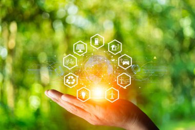 Dünya ekolojik günü kavramı. Ampulün içinde büyüyen yeşil ağaç yeşil yaprakların bulanık arkaplanında ve sabah altın bir ışık var. enerji tasarrufu ve çevre koruması.