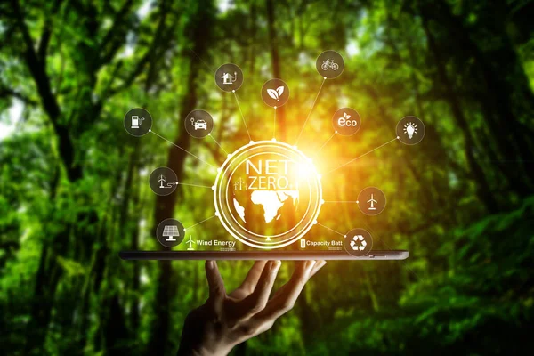 Net zero concept. Hand holding bulb with ESG icon. It is surrounded by a clean energy icon. Net zero 2050. Carbon gas affects global warming. Concept with innovation inspiration from big data.