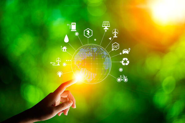 Концепция экоземного дня. зеленое дерево, растущее в лампочке На заднем плане размытое изображение зеленых листьев и есть золотой свет утром. энергосбережение и защита окружающей среды.