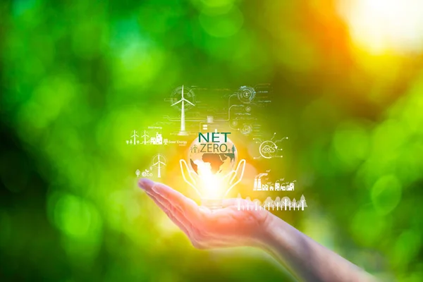 net zero concept. Hand holding bulb with net zero icon. carbon neutral concept. Dusty city environment PM 2.5 background. Climate-neutral long-term strategy. Carbon gas affects global warming