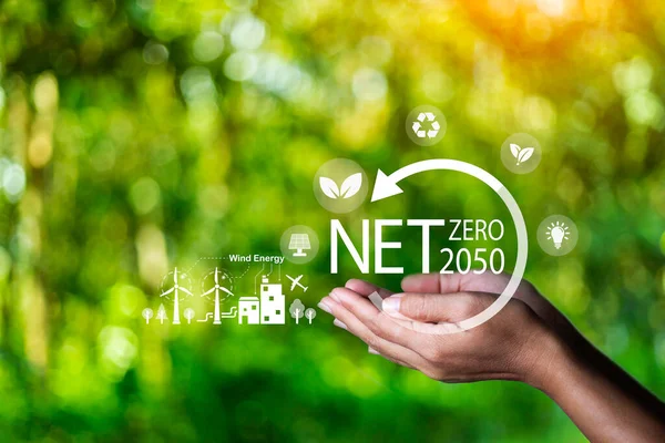 Net zero concept. Hand holding bulb with net zero icon. It is surrounded by a clean energy icon. Net zero 2050. Carbon gas affects global warming. Concept with innovation inspiration from big data.