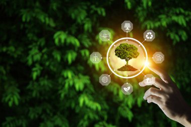 Yeşil enerji, ekolojik dünya günü konsepti. Yaprak arka planda büyüyen yeşil ağacı işaret eden el ele tutuşma ve sabah altın bir ışık var. Çevresinde ikon enerjisi ve çevresel koruma.