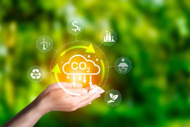 Karbon kredi piyasası konsepti. Yeşil enerji karbon nötr ağı sıfır sera gazı emisyonları hedef 2050 'de. Yeşil arkaplanda CO2 simgesi etrafında etik, çevreci yeşil enerji sistemi simgesi.