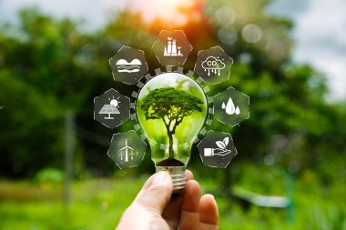 Yeşil arka planda yeşil ağaç, eko yeşil enerji sistemi. Yenilik teknolojisi eko enerji. Yenilenebilir enerji kaynakları için ampul. Fikir yeniliği ilham verici. Sıfır emisyon konsepti..