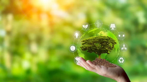 植树的手环境友好 生态地球日 友好的能源 网络零点2050 Esg生态概念和风生态绿色能源系统图标围绕绿色背景 — 图库照片