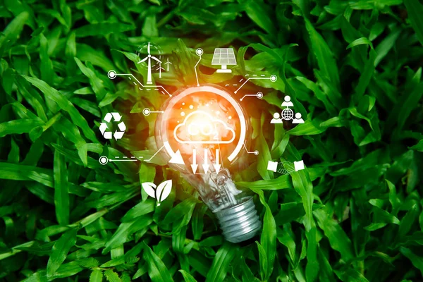 Çimen doğasında ampul, çevrede eko yeşil enerji sistemi simgesi. Yenilik teknolojisi eko enerji kavramı. Yenilenebilir enerji kaynakları için ampul. İnovasyon ilhamı kavramı. Fikir yenilikçi.