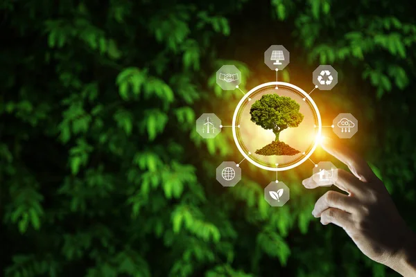 绿色能源 生态地球日的概念 牵手指向生长在树叶背景上的绿树 晨曦中闪烁着金色的光芒 图标能源和环境保护围绕着它 — 图库照片