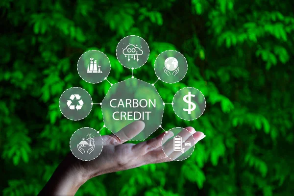 Koolstofkredietmarkt Koolstof Krediet Pictogram Hand Groene Blad Achtergrond Ikoon Energie — Stockfoto
